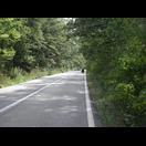 Nach den ganzen Feldern ist der Wald eine Abwechslung